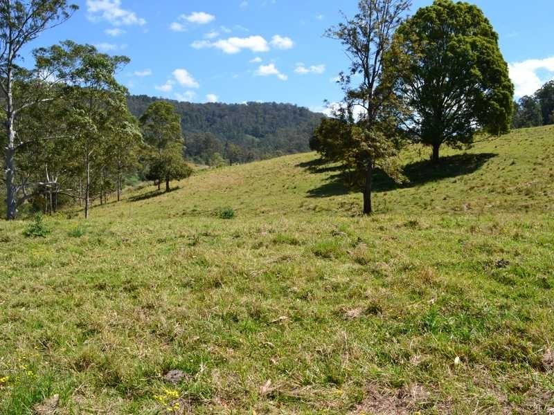 399 Smiths Creek Road, Kyogle NSW 2474