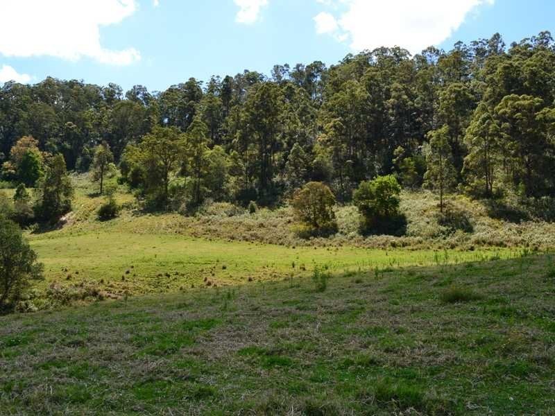 399 Smiths Creek Road, Kyogle NSW 2474