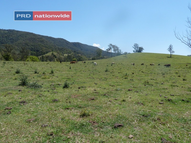 59 Chelmsford Road, Rock Valley Via, Kyogle NSW 2474