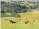451 Smiths Creek Road, Kyogle NSW 2474