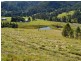 451 Smiths Creek Road, Kyogle NSW 2474