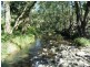 451 Smiths Creek Road, Kyogle NSW 2474