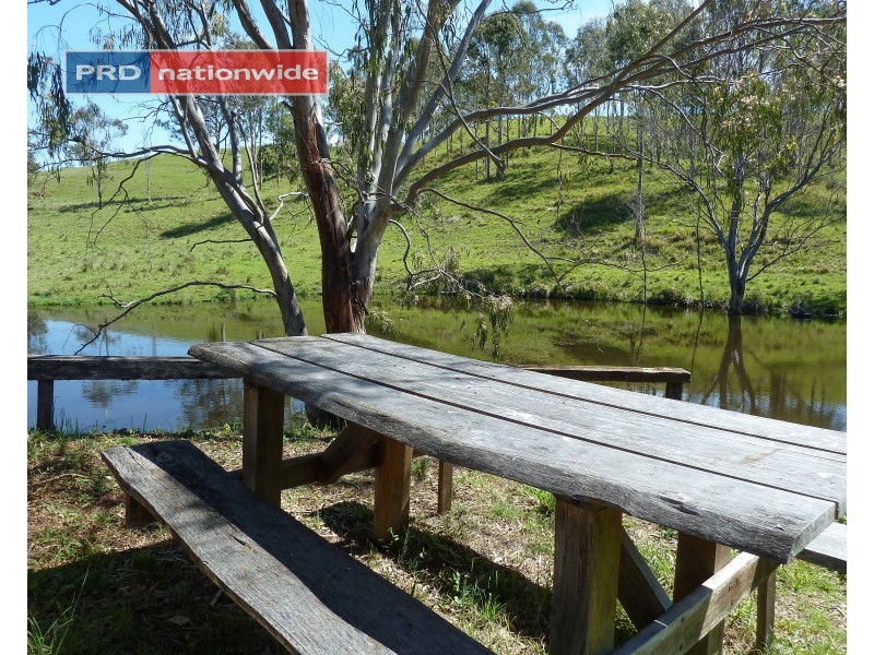 40 Olympian Road, Wyneden via, Kyogle NSW 2474