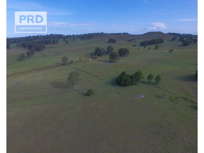 95&96 Ainsworth Road, Leeville NSW 2470