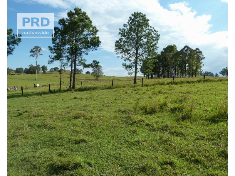 95&96 Ainsworth Road, Leeville NSW 2470