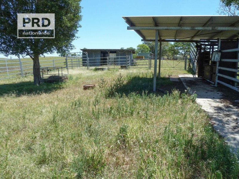 150 Collins Creek Road, Kyogle NSW 2474