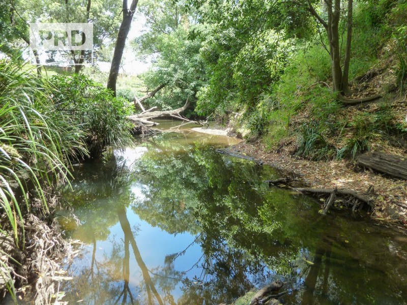 150 Collins Creek Road, Kyogle NSW 2474