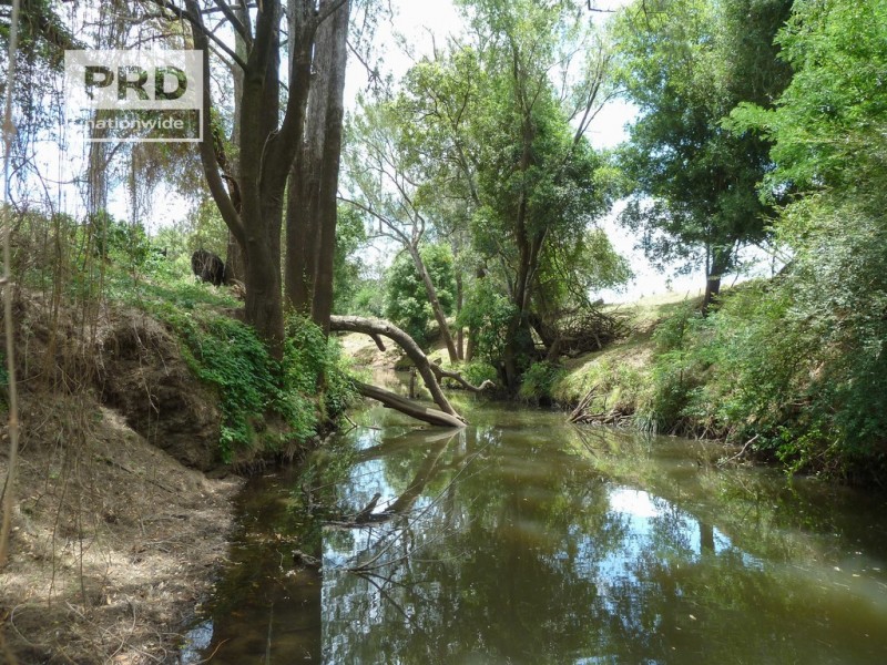 150 Collins Creek Road, Kyogle NSW 2474