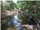 150 Collins Creek Road, Kyogle NSW 2474