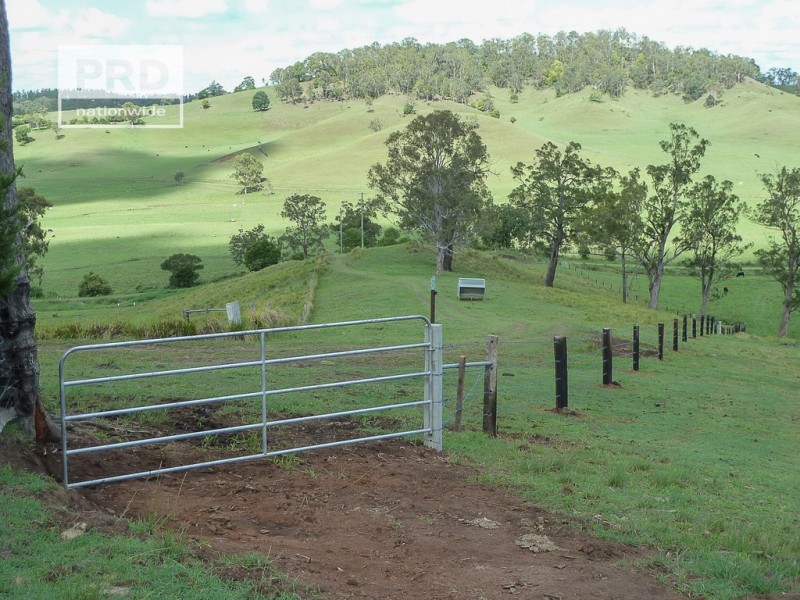 65 Brazils Road, Bentley NSW 2480