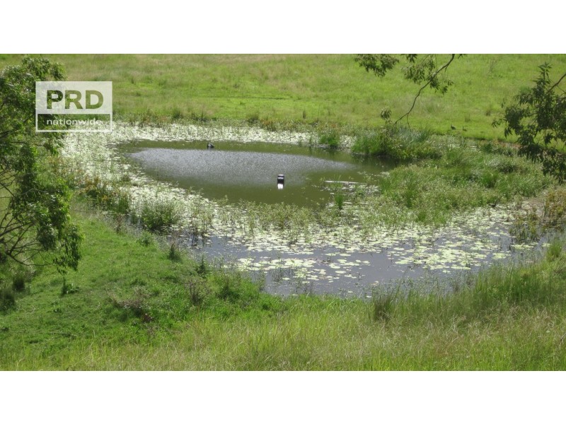 65 Brazils Road, Bentley NSW 2480