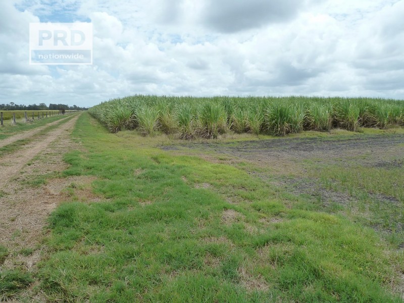 260 Bungawalbin Whiporie Road, Bungawalbin NSW 2469