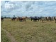 260 Bungawalbin Whiporie Road, Bungawalbin NSW 2469
