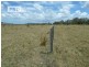 260 Bungawalbin Whiporie Road, Bungawalbin NSW 2469