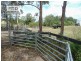 260 Bungawalbin Whiporie Road, Bungawalbin NSW 2469