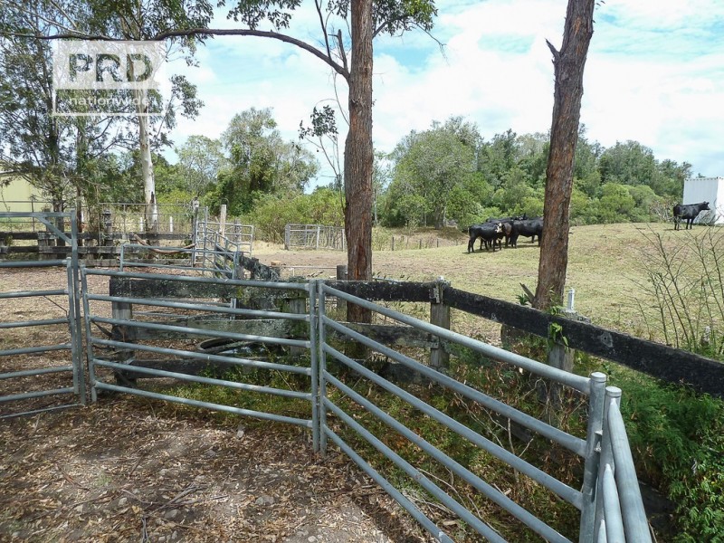 260 Bungawalbin Whiporie Road, Bungawalbin NSW 2469