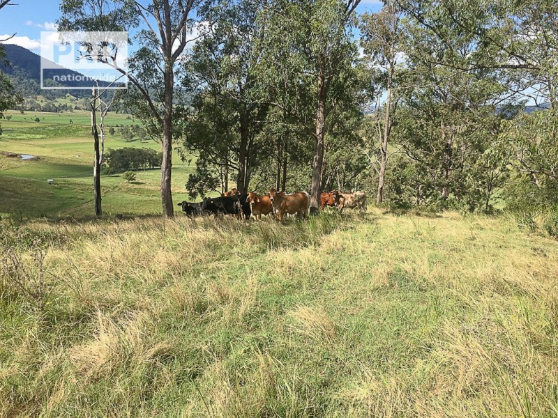 65 Brazils Road Via, Lismore NSW 2480