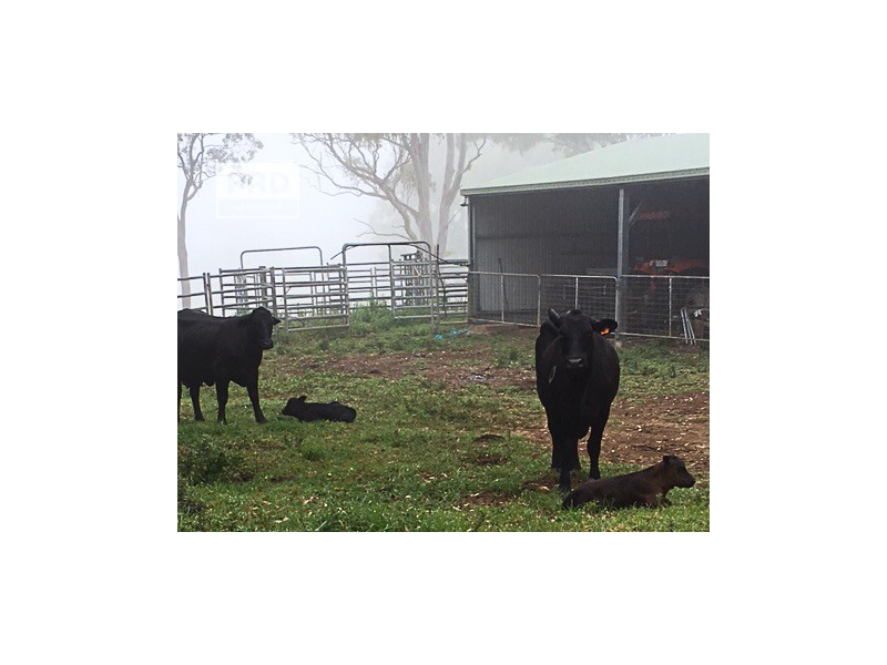 65 Brazils Road Via, Lismore NSW 2480