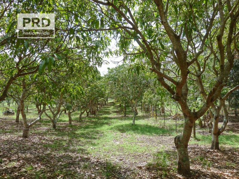 10 Hillside Drive, Fairy Hill NSW 2470