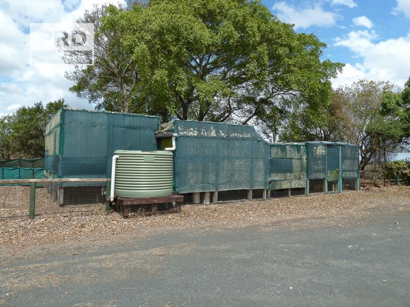 10 Hillside Drive, Fairy Hill NSW 2470