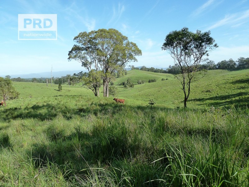 Lots 24 and 69 Sargents Road, Homeleigh NSW 2474