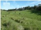 Lots 24 and 69 Sargents Road, Homeleigh NSW 2474