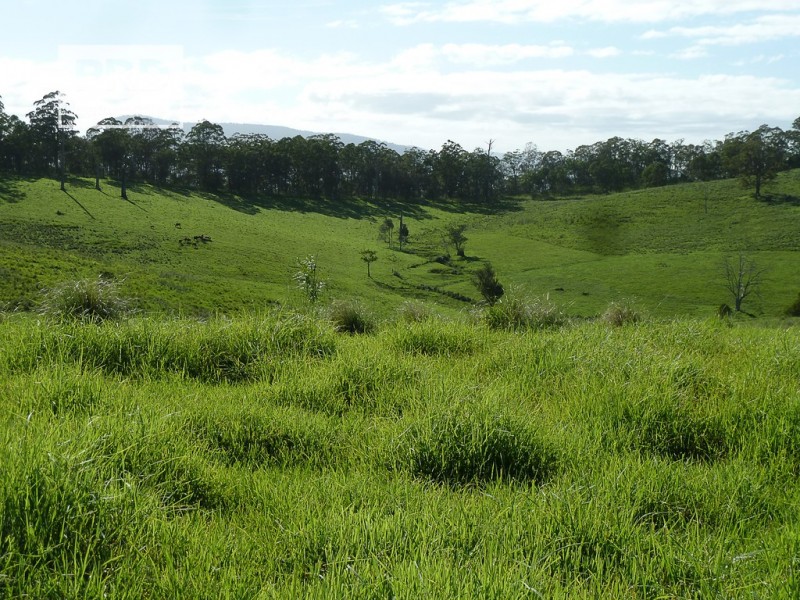 Lots 24 and 69 Sargents Road, Homeleigh NSW 2474