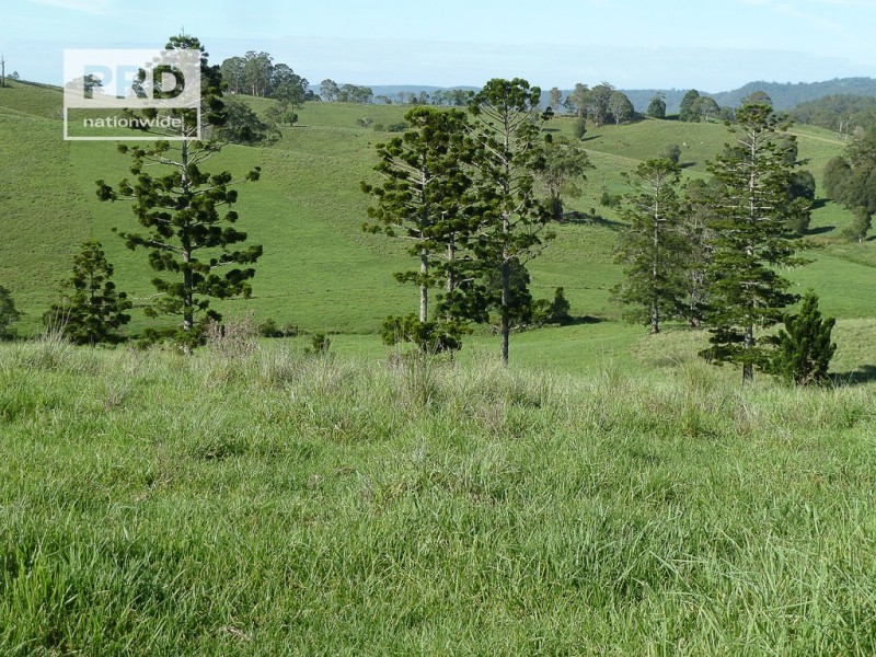 Lots 24 and 69 Sargents Road, Homeleigh NSW 2474