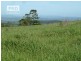 Lots 24 and 69 Sargents Road, Homeleigh NSW 2474
