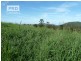 Lots 24 and 69 Sargents Road, Homeleigh NSW 2474