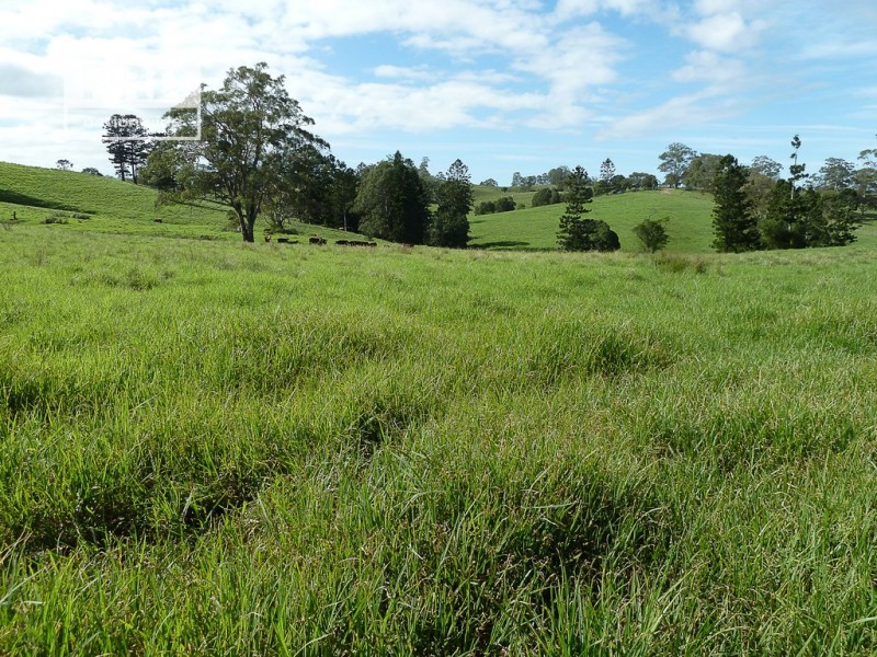 Lots 24 and 69 Sargents Road, Homeleigh NSW 2474