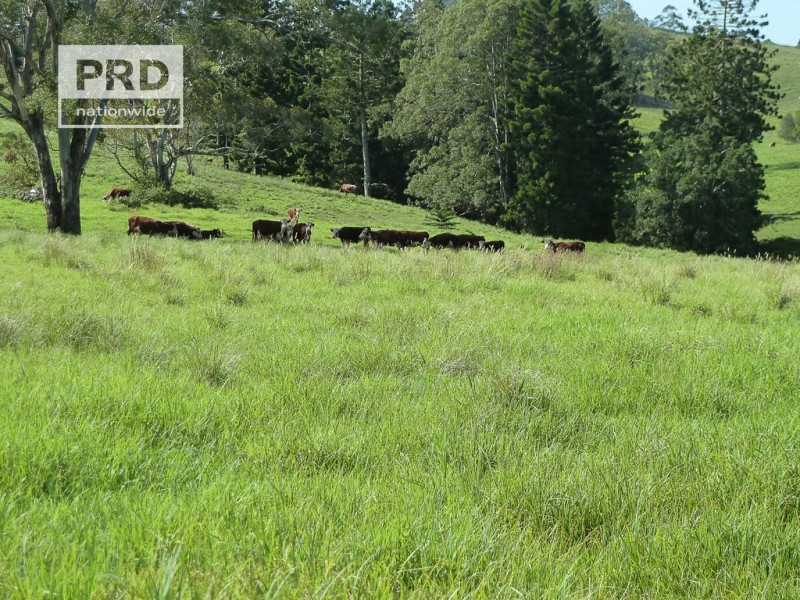 Lots 24 and 69 Sargents Road, Homeleigh NSW 2474