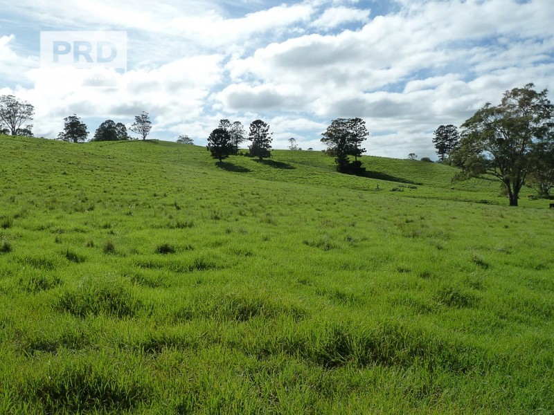 Lots 24 and 69 Sargents Road, Homeleigh NSW 2474