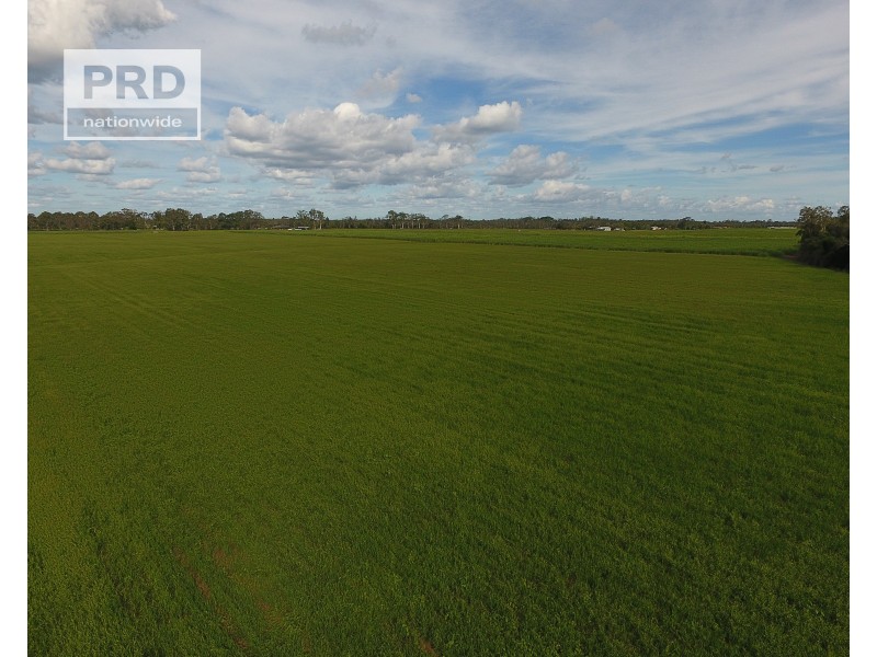 359 Riverbank Road, Pimlico NSW 2478