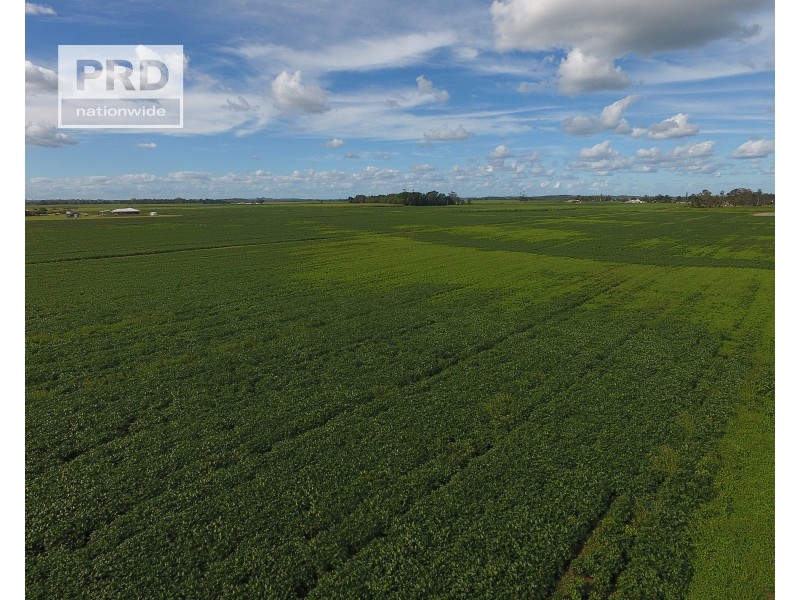 359 Riverbank Road, Pimlico NSW 2478