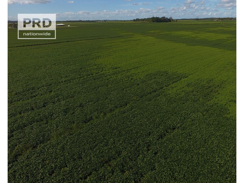 359 Riverbank Road, Pimlico NSW 2478