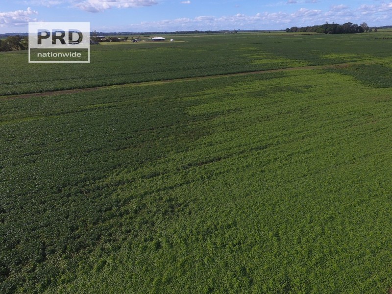 359 Riverbank Road, Pimlico NSW 2478