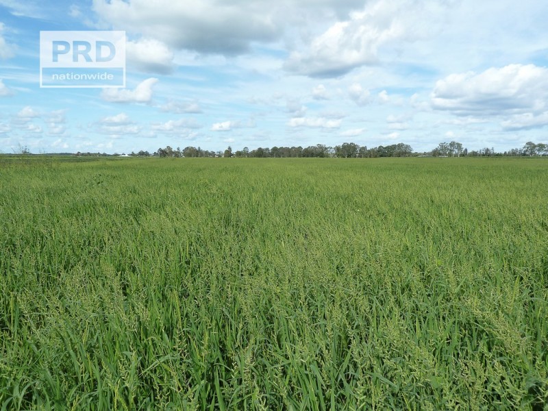 359 Riverbank Road, Pimlico NSW 2478