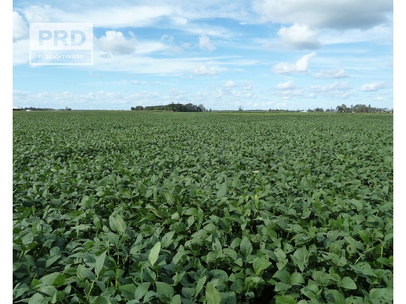 359 Riverbank Road, Pimlico NSW 2478