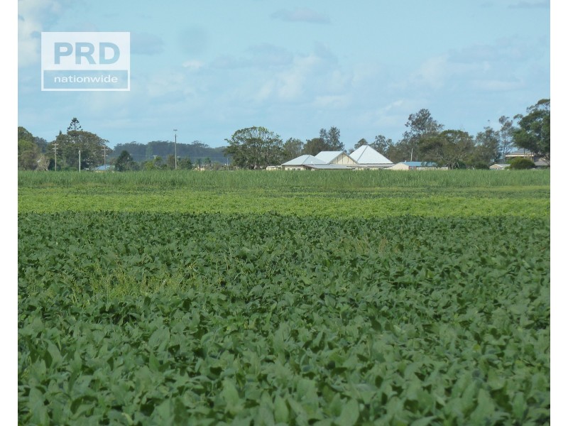 359 Riverbank Road, Pimlico NSW 2478