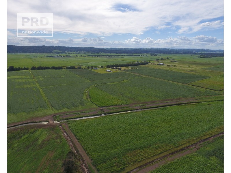 359 Riverbank Road, Pimlico NSW 2478