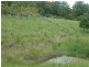 416 Sargents Road Homeleigh Via, Kyogle NSW 2474