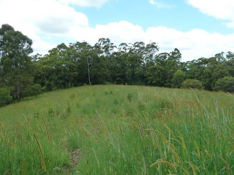 416 Sargents Road Homeleigh Via, Kyogle NSW 2474