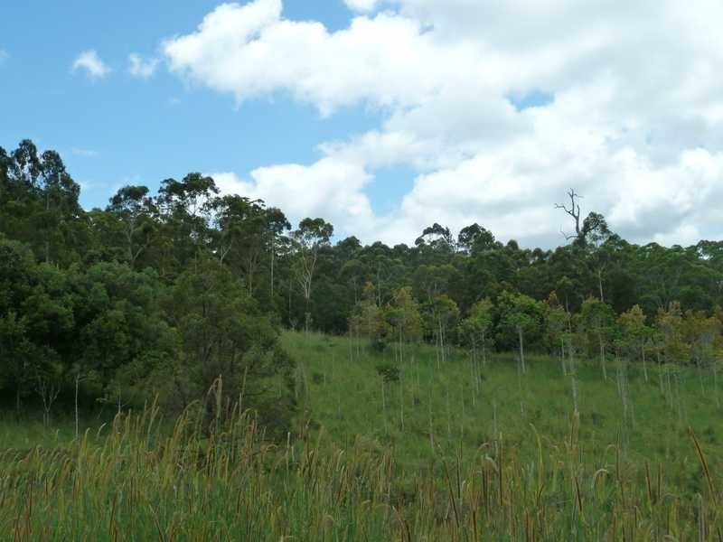 416 Sargents Road Homeleigh Via, Kyogle NSW 2474
