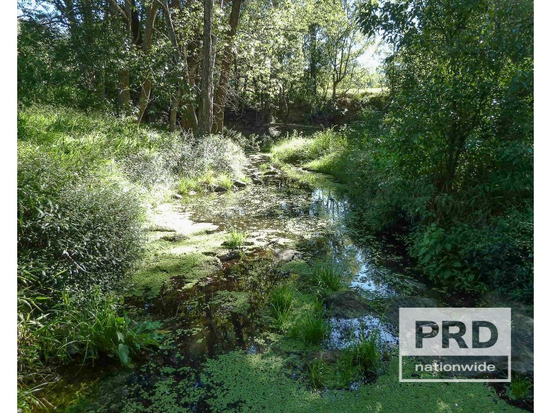 89 Afterlee Road, Horse Station Creek NSW 2474