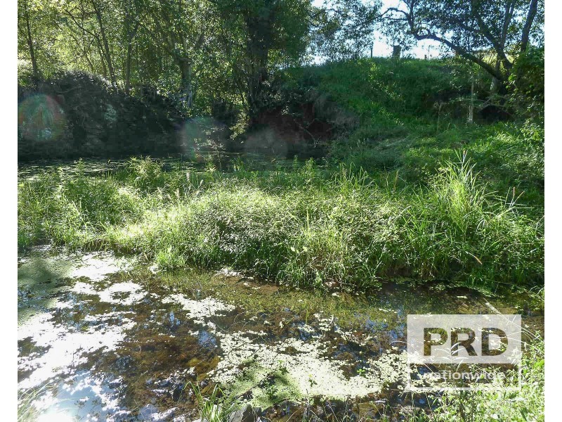 89 Afterlee Road, Horse Station Creek NSW 2474