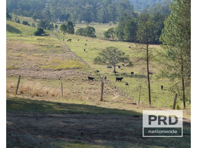 89 Afterlee Road, Horse Station Creek NSW 2474