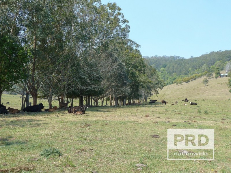 660 Keerrong Road, Keerrong NSW 2480