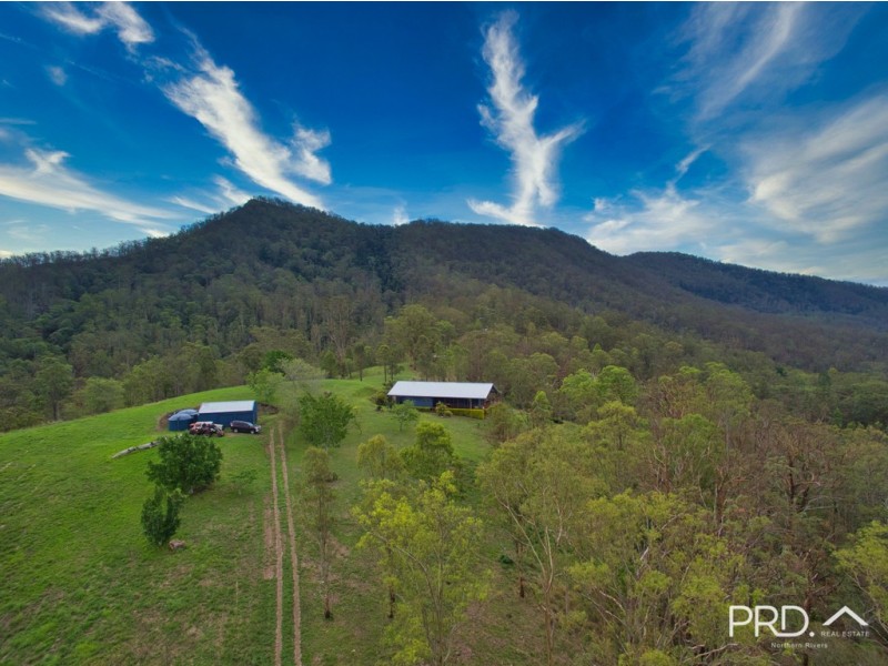 Collins Creek NSW 2474