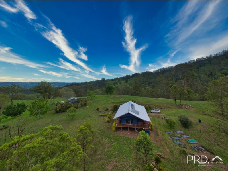 Collins Creek NSW 2474